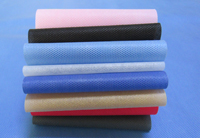 博尔塔拉涤纶（PET）无纺布是什么