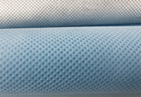 博尔塔拉(PP)丙纶无纺布跟(PET)涤纶无纺布的区别